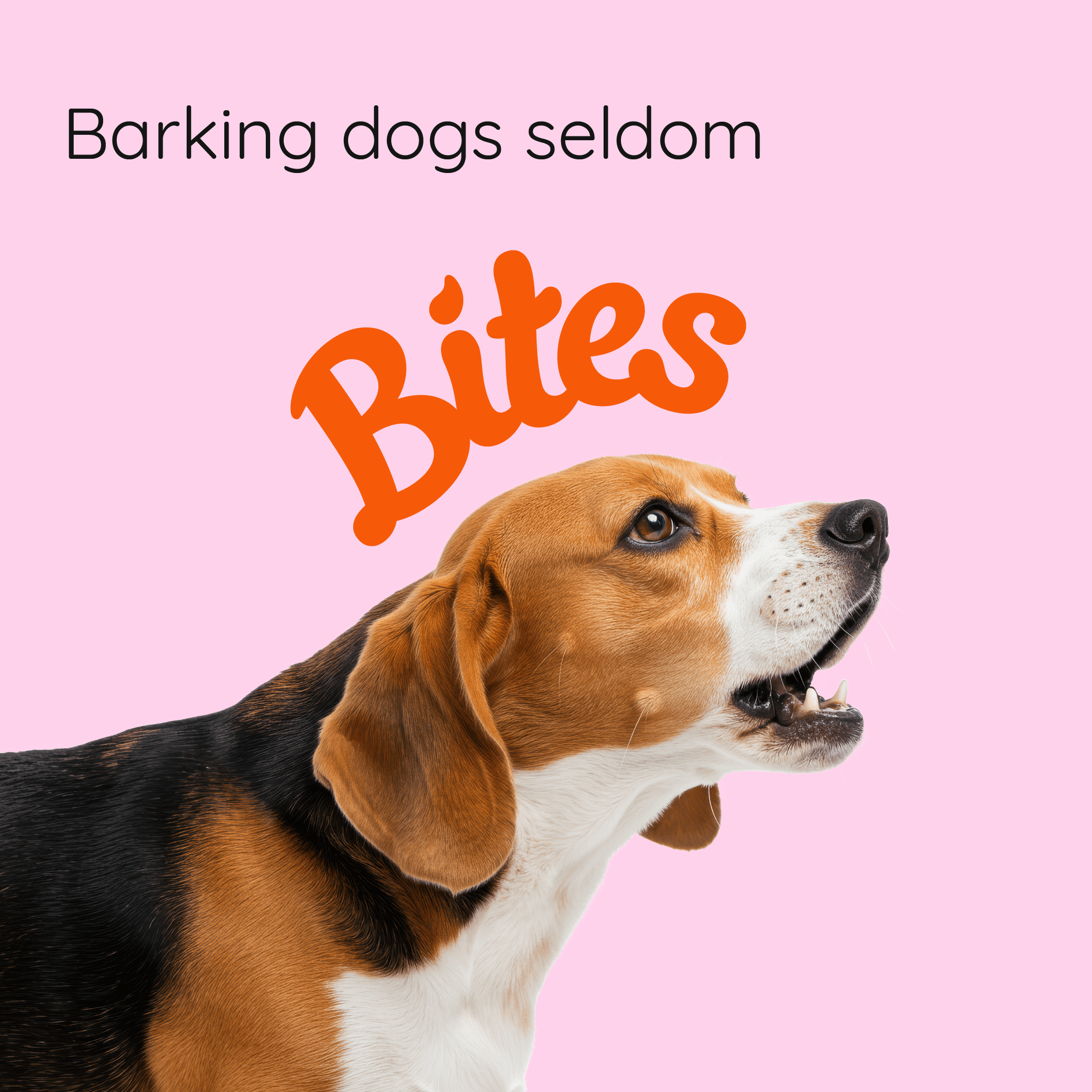 Bites - מיתוג ועיצוב אריזות לחטיפי פירות אורגניים